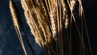 Экспорт украинской пшеницы отстает на 10% с начала 2021/22 МГ